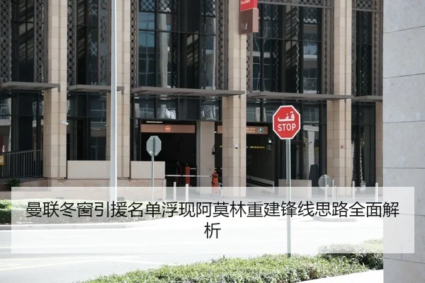 曼联冬窗引援名单浮现阿莫林重建锋线思路全面解析 - FHSPORTS