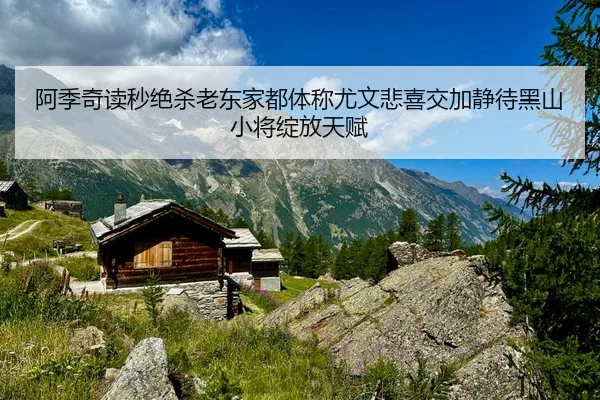 阿季奇读秒绝杀老东家都体称尤文悲喜交加静待黑山小将绽放天赋 | FHSPORTS