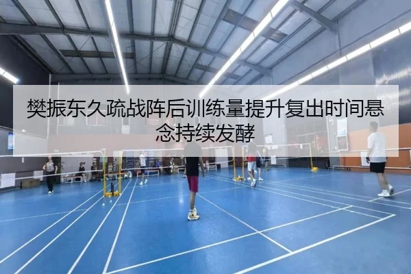 樊振东久疏战阵后训练量提升复出时间悬念持续发酵 - FHSPORTS